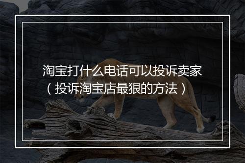 淘宝打什么电话可以投诉卖家（投诉淘宝店最狠的方法）