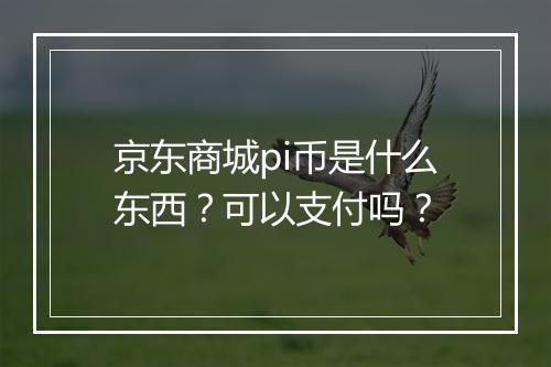 京东商城pi币是什么东西？可以支付吗？