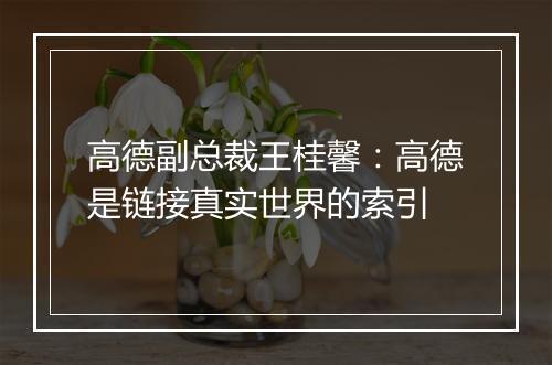 高德副总裁王桂馨：高德是链接真实世界的索引