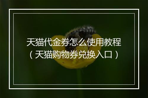 天猫代金券怎么使用教程（天猫购物券兑换入口）