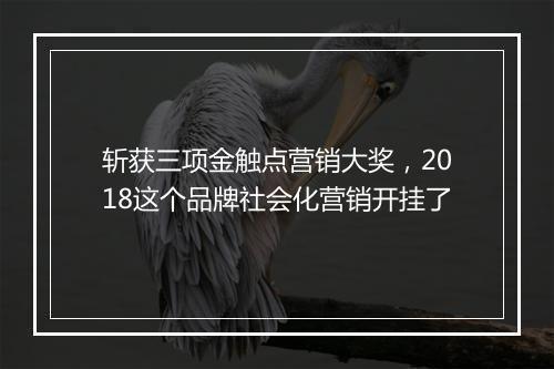 斩获三项金触点营销大奖，2018这个品牌社会化营销开挂了