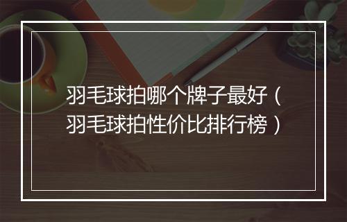 羽毛球拍哪个牌子最好（羽毛球拍性价比排行榜）