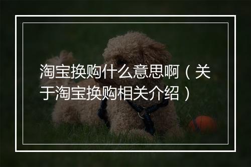 淘宝换购什么意思啊（关于淘宝换购相关介绍）