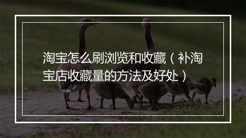 淘宝怎么刷浏览和收藏（补淘宝店收藏量的方法及好处）