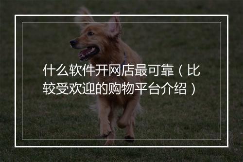 什么软件开网店最可靠（比较受欢迎的购物平台介绍）