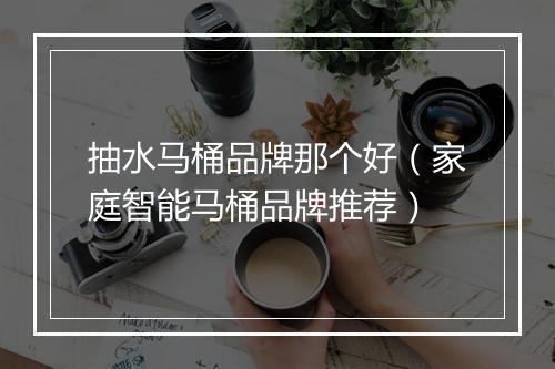 抽水马桶品牌那个好（家庭智能马桶品牌推荐）