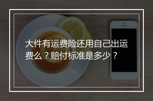 大件有运费险还用自己出运费么？赔付标准是多少？