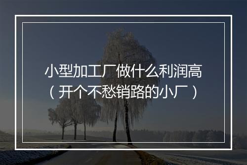 小型加工厂做什么利润高（开个不愁销路的小厂）