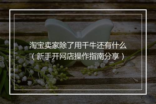 淘宝卖家除了用千牛还有什么（新手开网店操作指南分享）