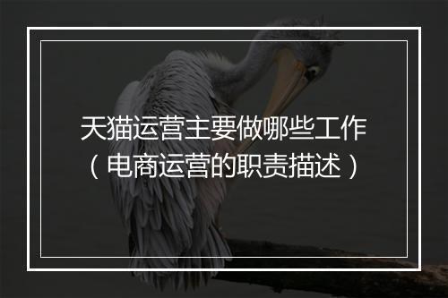 天猫运营主要做哪些工作（电商运营的职责描述）
