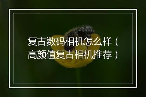 复古数码相机怎么样（高颜值复古相机推荐）