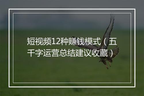 短视频12种赚钱模式（五千字运营总结建议收藏）