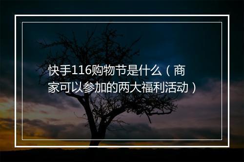 快手116购物节是什么（商家可以参加的两大福利活动）