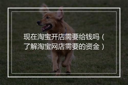 现在淘宝开店需要给钱吗（了解淘宝网店需要的资金）