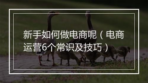 新手如何做电商呢（电商运营6个常识及技巧）