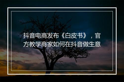 抖音电商发布《白皮书》，官方教学商家如何在抖音做生意