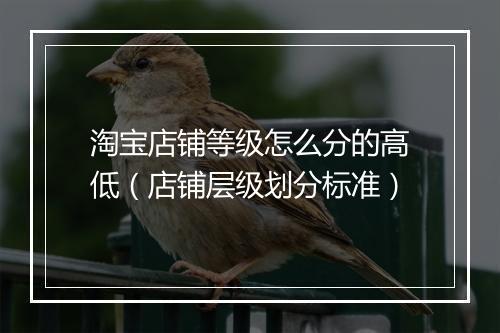 淘宝店铺等级怎么分的高低（店铺层级划分标准）