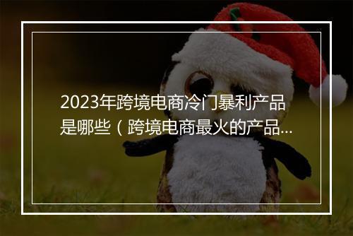 2023年跨境电商冷门暴利产品是哪些（跨境电商最火的产品）