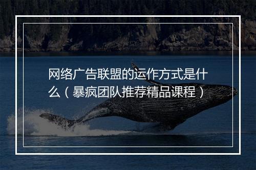 网络广告联盟的运作方式是什么（暴疯团队推荐精品课程）