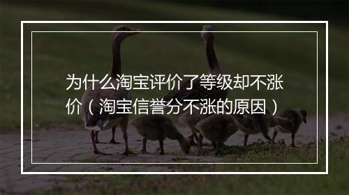 为什么淘宝评价了等级却不涨价（淘宝信誉分不涨的原因）