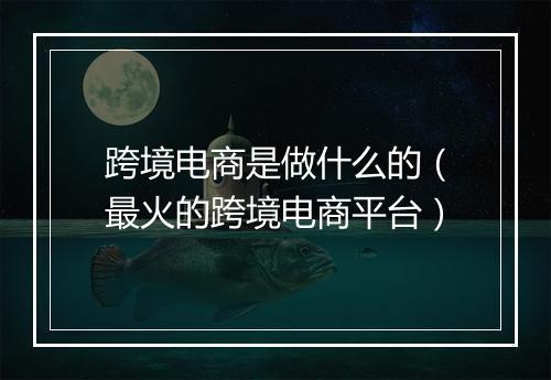 跨境电商是做什么的（最火的跨境电商平台）