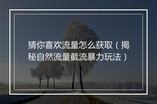 猜你喜欢流量怎么获取（揭秘自然流量截流暴力玩法）
