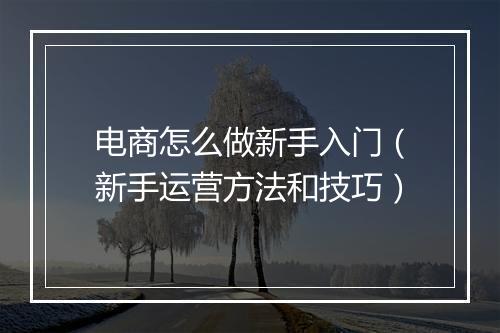 电商怎么做新手入门（新手运营方法和技巧）