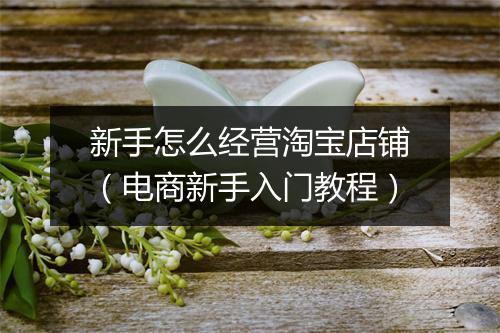 新手怎么经营淘宝店铺（电商新手入门教程）