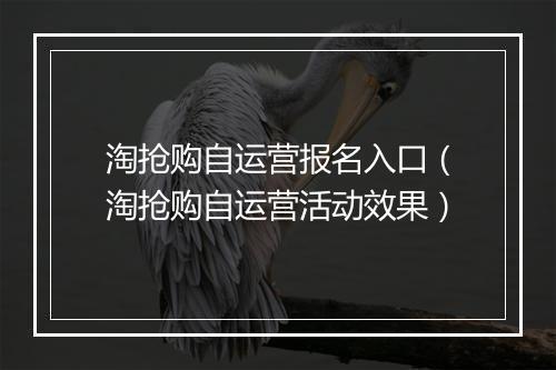 淘抢购自运营报名入口（淘抢购自运营活动效果）