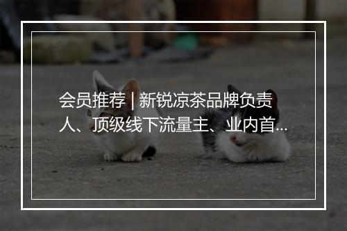 会员推荐 | 新锐凉茶品牌负责人、顶级线下流量主、业内首创全智能虚拟主播 Marketing 希望认识你