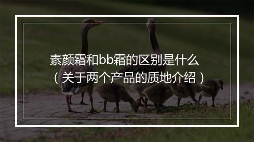 素颜霜和bb霜的区别是什么（关于两个产品的质地介绍）