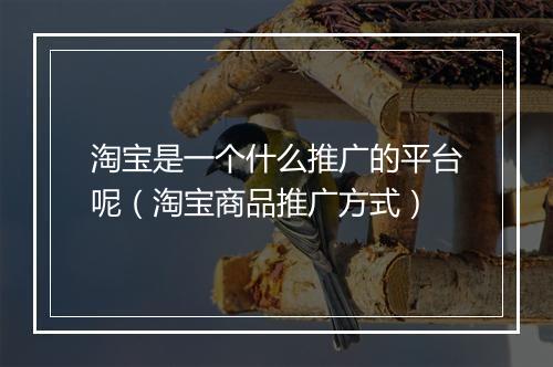 淘宝是一个什么推广的平台呢（淘宝商品推广方式）