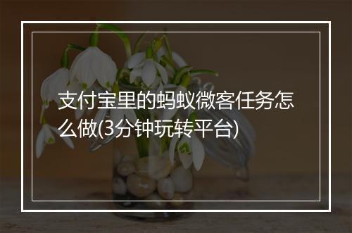 支付宝里的蚂蚁微客任务怎么做(3分钟玩转平台)