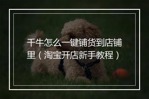 千牛怎么一键铺货到店铺里（淘宝开店新手教程）