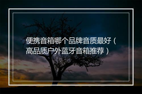 便携音箱哪个品牌音质最好（高品质户外蓝牙音箱推荐）