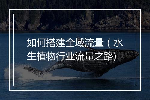 如何搭建全域流量（水生植物行业流量之路)