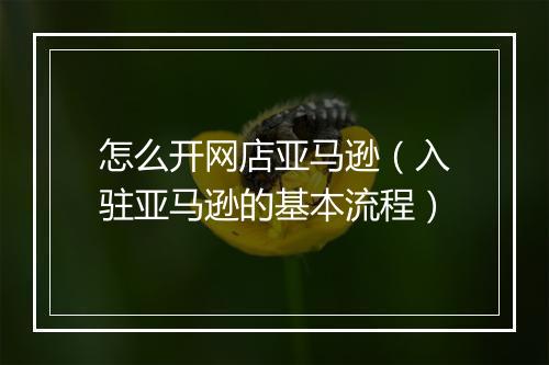 怎么开网店亚马逊（入驻亚马逊的基本流程）