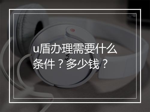 u盾办理需要什么条件？多少钱？