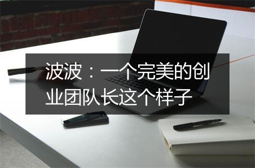 波波：一个完美的创业团队长这个样子
