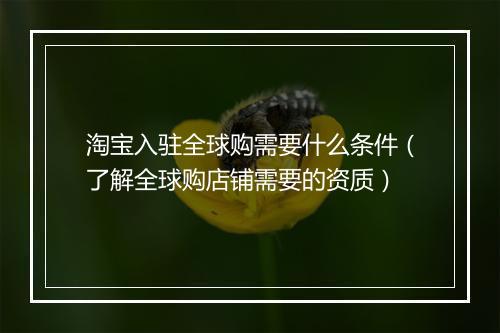淘宝入驻全球购需要什么条件（了解全球购店铺需要的资质）
