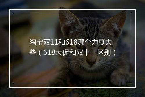 淘宝双11和618哪个力度大些（618大促和双十一区别）