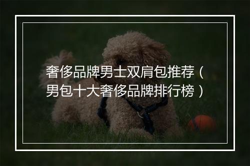 奢侈品牌男士双肩包推荐（男包十大奢侈品牌排行榜）