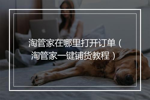 淘管家在哪里打开订单（ 淘管家一键铺货教程）