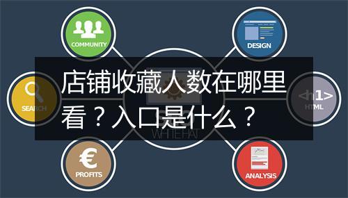店铺收藏人数在哪里看？入口是什么？