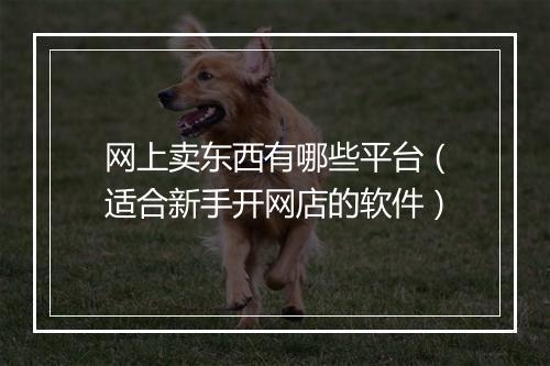 网上卖东西有哪些平台（适合新手开网店的软件）