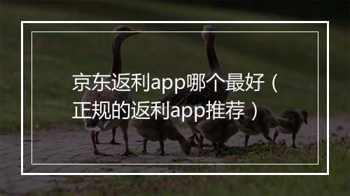 京东返利app哪个最好（正规的返利app推荐）