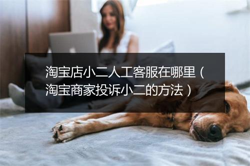 淘宝店小二人工客服在哪里（淘宝商家投诉小二的方法）
