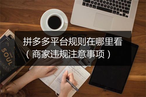拼多多平台规则在哪里看（商家违规注意事项）