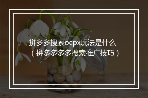 拼多多搜索ocpx玩法是什么（拼多多多多搜索推广技巧）