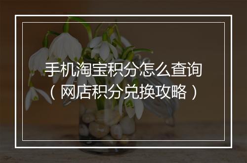 手机淘宝积分怎么查询（网店积分兑换攻略）
